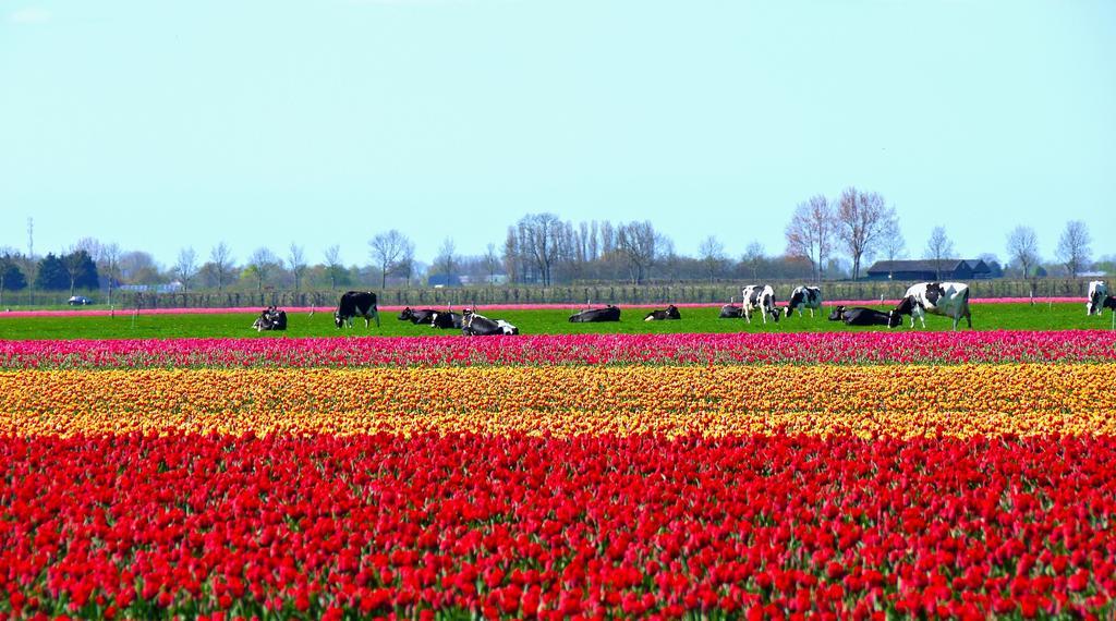 Markermeerlogies Bovenkarspel Zimmer foto
